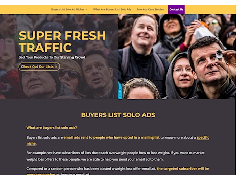 Screenshot of solo ad seller's website