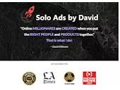 Screenshot of Solo Ad Seller's Website'